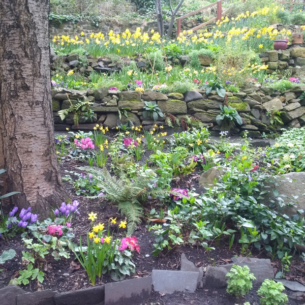 Edinburgh in Bloom - Pretty Gardens